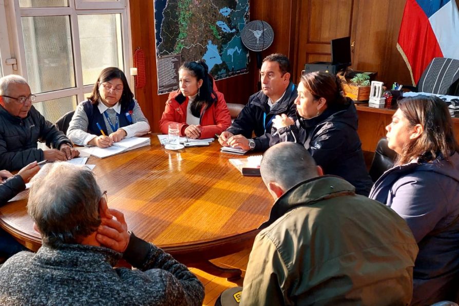 Delegada de Osorno responde a la solicitud de la Junta de Vecinos de Caracol tras el incendio forestal