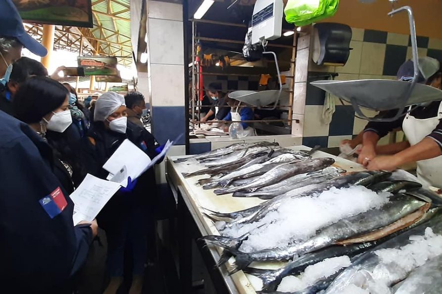 Delegada de Osorno llama comprar productos del mar en lugares autorizados