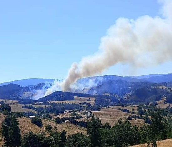 Se declara Alerta Roja para la comuna de San Pablo por incendio forestal.